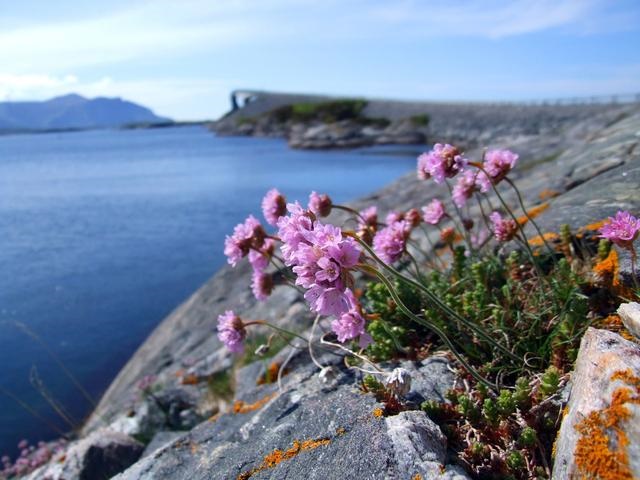 属马44岁什么命运，2023年属马人的全年运势