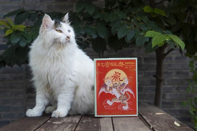 022年属什么生肖,2022