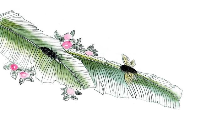 大运查法及解释,八字排大运的正确 ***