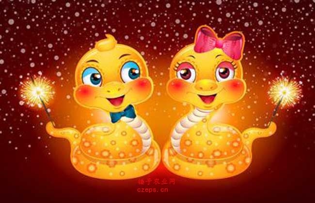 属蛇人2022年全年运，2022 年属蛇人的全年财运