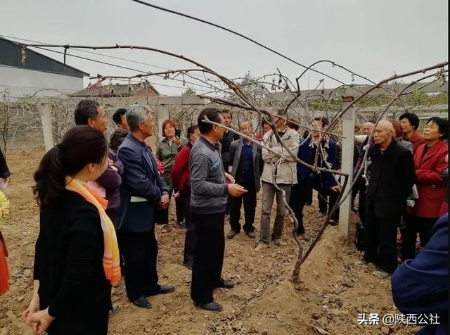 午时出生女人是绝户命，午时出生的女人大富