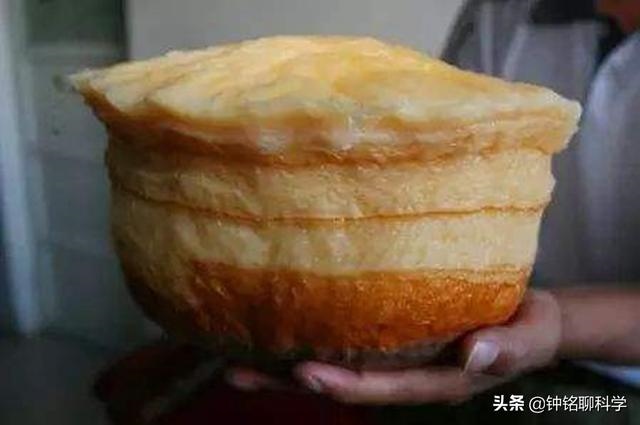 太岁一般都生长在哪里，太岁从哪里生出来的