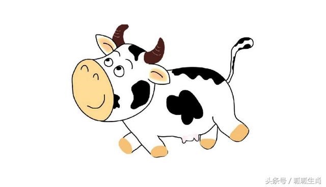 属牛的防三个属相，天珠佩戴禁忌与属相