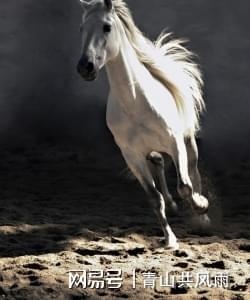 978年的马是什么命，1978年属马2022