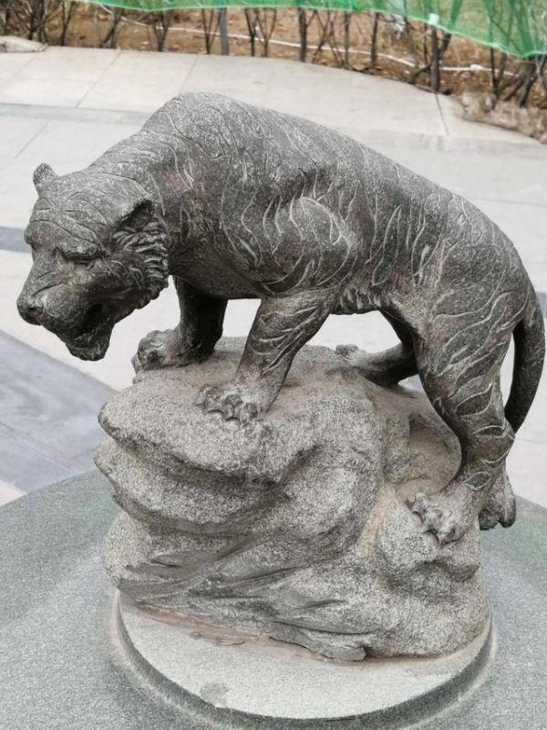 十二生肖文武肖怎么分,文肖和武肖是什么生肖