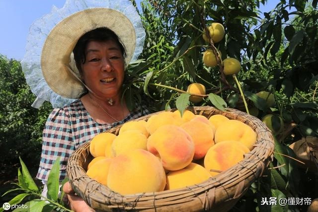 有的人会吸走你的运气天涯，如何让自己运气好起来