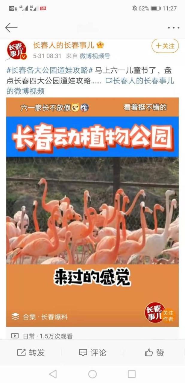 今日新鲜事十二生肖排行，风流的动物打一生肖