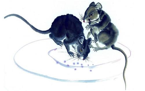 二月的蛇和十月的蛇相配吗，属蛇人不同月份生肖配对