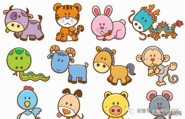 属兔忌讳什么属相，兔和鼠相克吗