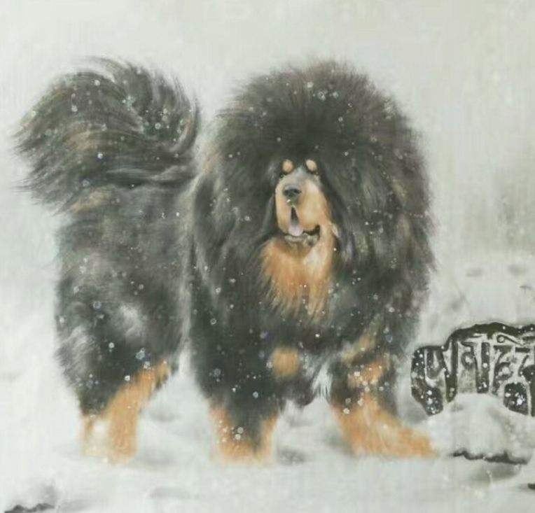 9岁生肖狗有一劫，39是什么生肖"