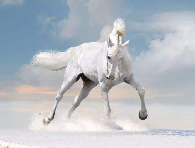 990年属马2022年运势女,1990年属马32岁运势2022"