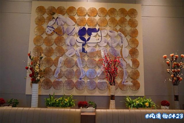 属马的犯什么属相，属马的犯冲属相