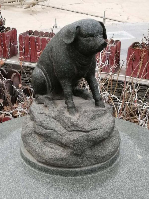 十二生肖文武肖怎么分,文肖和武肖是什么生肖