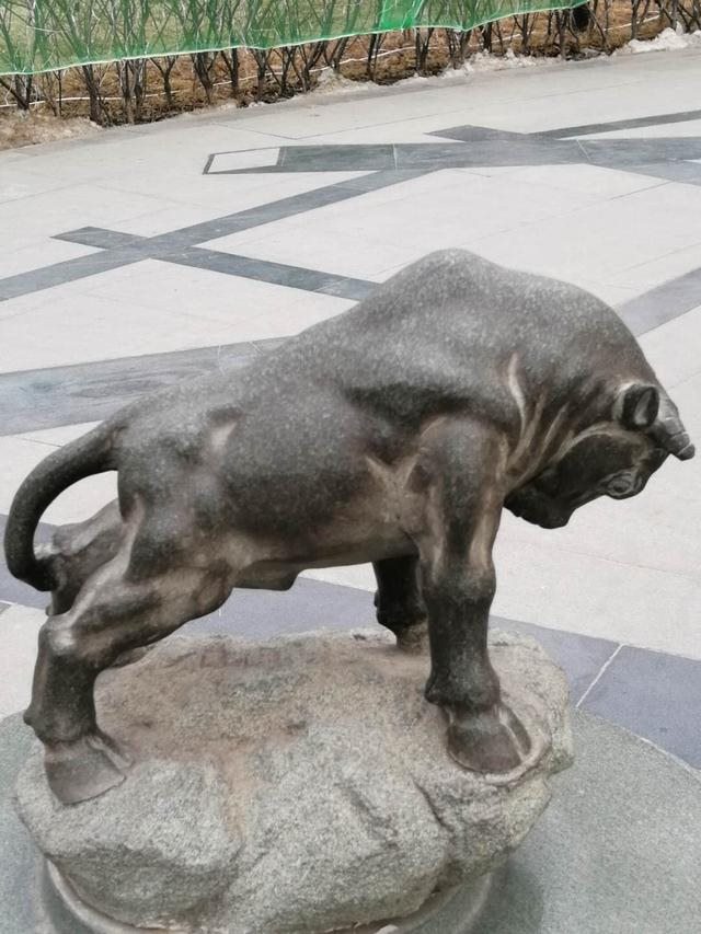 十二生肖文武肖怎么分,文肖和武肖是什么生肖