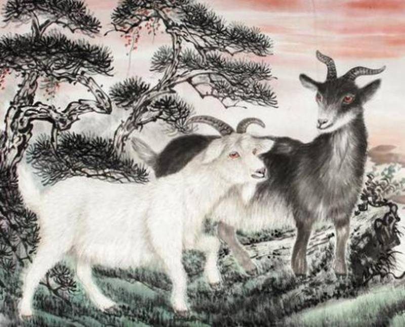 属羊的所有年份和年龄，属羊人2022 年全年运势