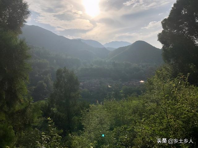 午年午月午日午时的命好不好，出生午年午时是怎样的