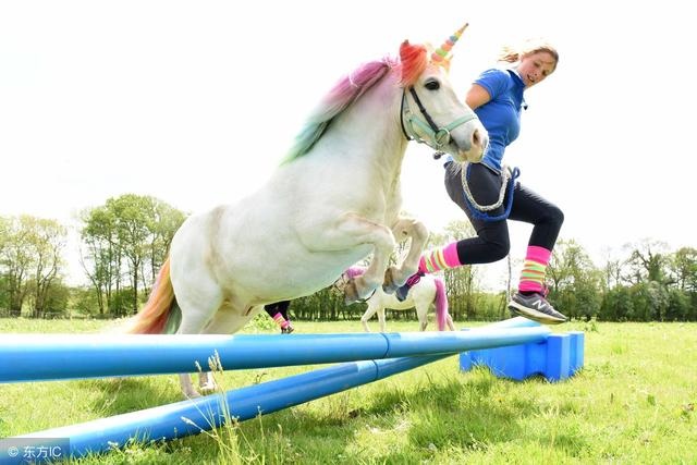 978年属马大劫，1978年属马人一生三大劫"