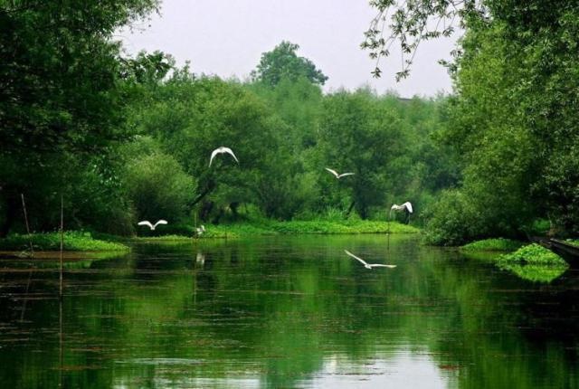 伤官见官的女命离婚能破,伤官见官夫妻宫做戌