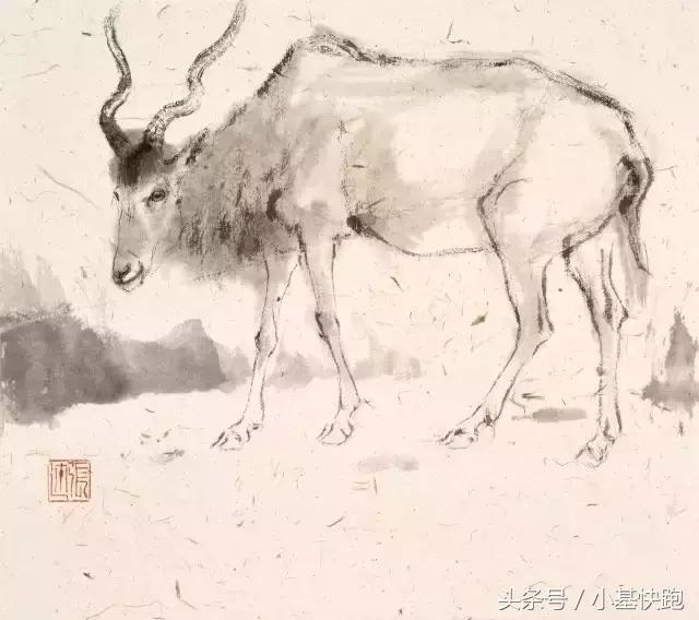 属狗的永久幸运颜色，最旺属狗人的5个数字