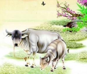 容易成大事的生肖，能当大老板的生肖女