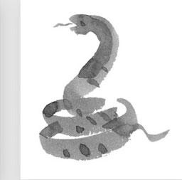 十二生肖六冲三合表，十二生肖三合和六个合生肖是什么