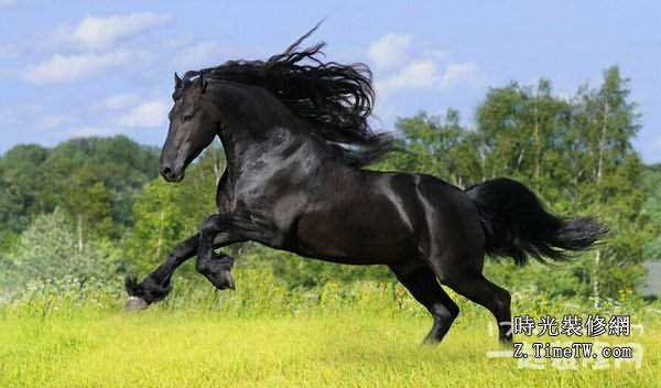 022年的马今年几周岁，2022年属马的几岁上一年级"