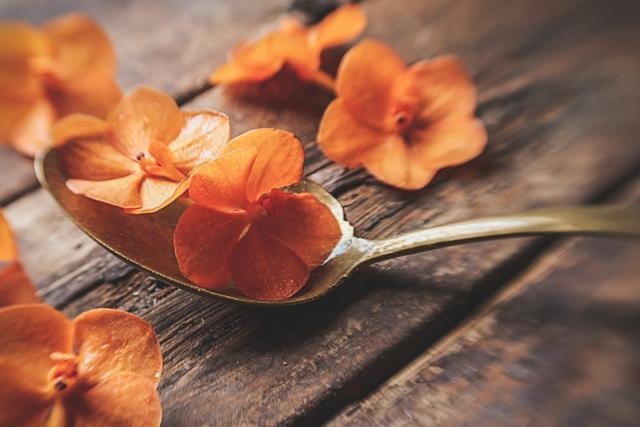 022运势好到爆的星座金牛座,星座配对测试"