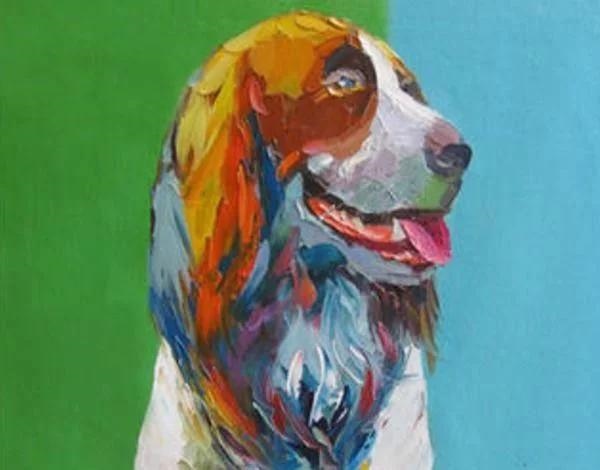 022年属马一生学业如何,生辰八字五行查询"