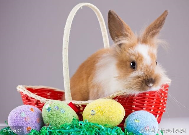 属马男人吃醋的表现，属马男人不珍惜老婆