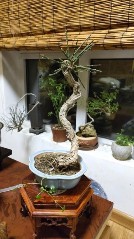 坏大运转好大运的过程，大运的之一年和最后一年