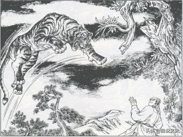 属虎和属蛇有一辈子的夫妻吗，属虎和属蛇的兄弟好不好