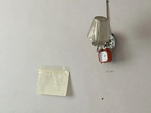 鸡和牛为什么老是吵架，鸡和牛的友情