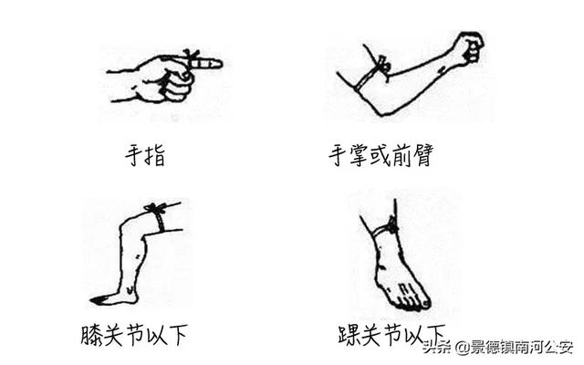 十一月份还有蛇出没吗，梦见蛇还有血