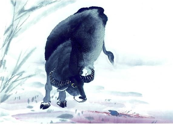 天上火命的更佳配偶,天上火命的女人