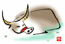 属马的红马什么意思，属马的怎么看白马红马