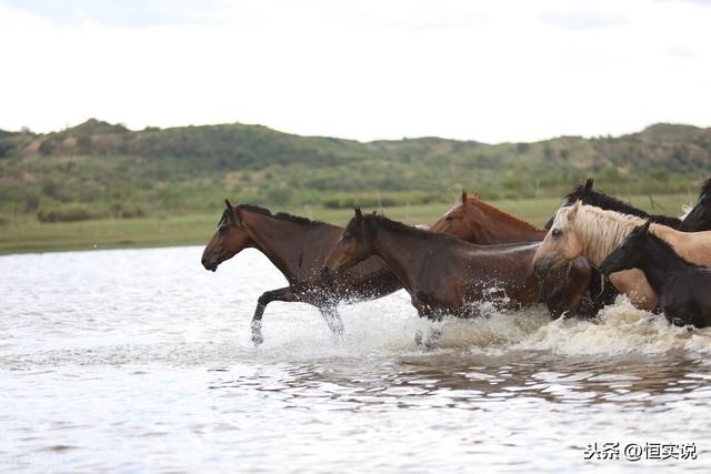 属兔女人最怕什么，什么阻碍了属兔人的进步