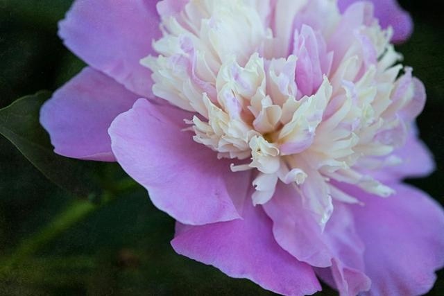 022运势好到爆的星座金牛座,星座配对测试"