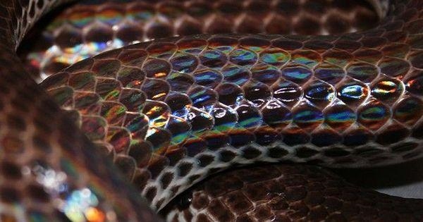 属蛇一生远离这个人，人的一生健康最重要