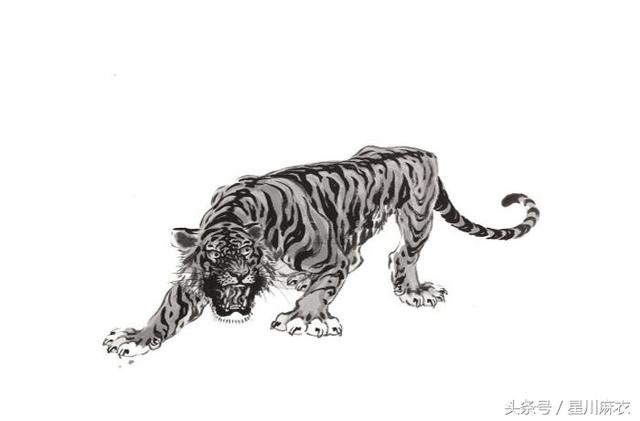 022年属虎的旺月和犯月，属虎犯月份是几月份"