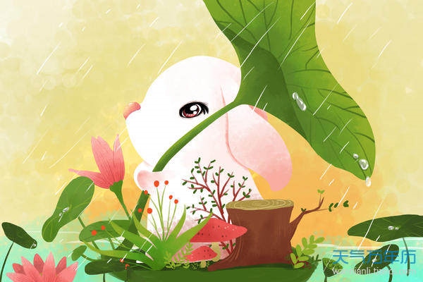 987年属兔2022年运势，87年属兔35岁有一劫2022"