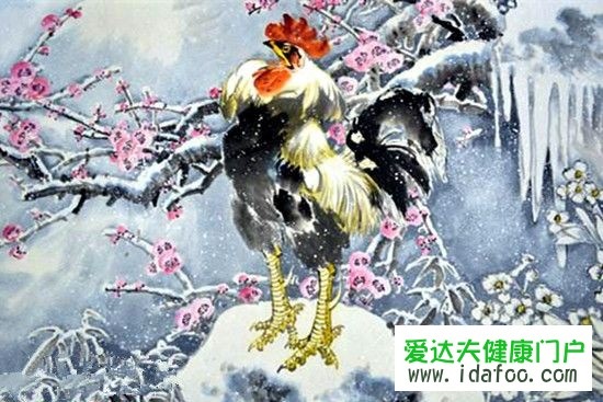 属鸡的男娶什么属相更好,93属鸡男的注定婚姻2022