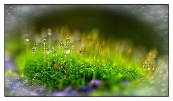 978年属马何时走大运，1978年属马人什么时候走大运"