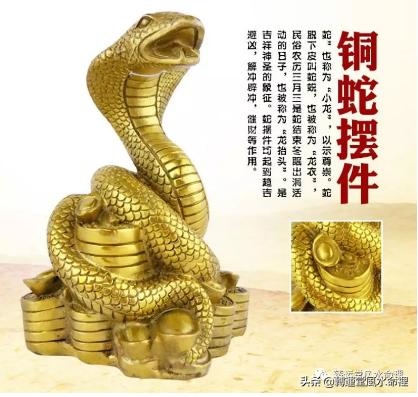 立冬后属蛇人运势，千万别娶属蛇的女人