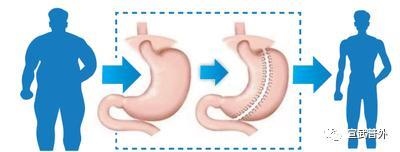 属马八几年出生多大，七几年属马多大年纪