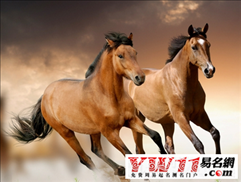 八岁属马是哪一年,属马的年份有哪几年