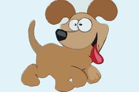 022年属狗女运势，1970年的女人每月运程"