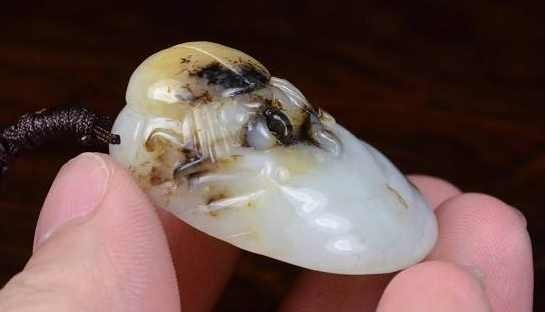 属猪的最怕什么，猪忌配什么生肖