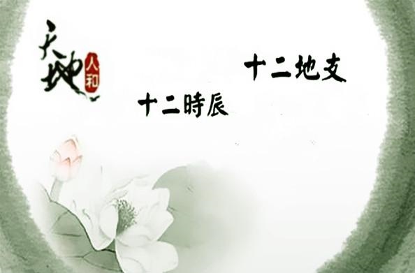 十二地支相合相冲相克，天干相冲相合相克