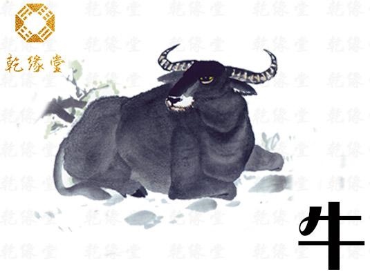 属牛人一生运势详解，72年属鼠人2022 年运势