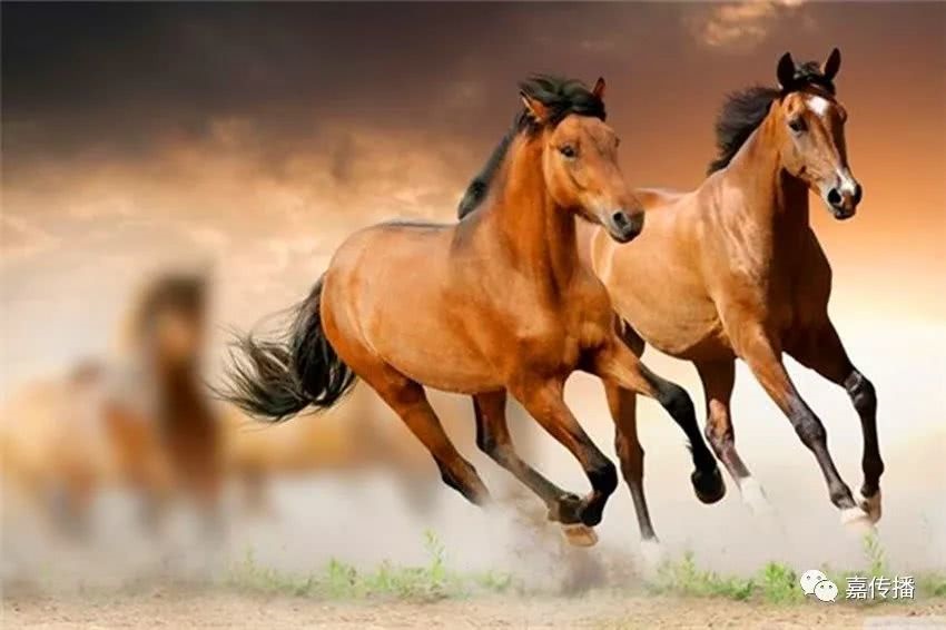 0年女属马2022年运势，1987年属兔2022年运势"